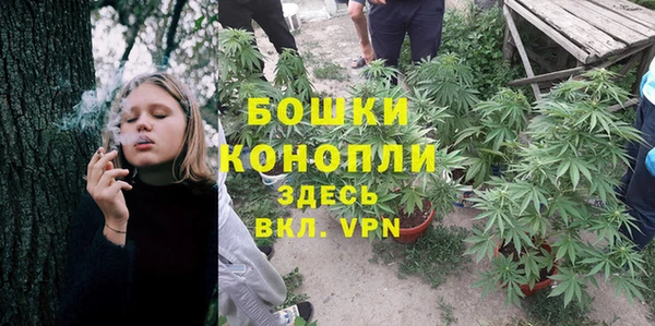 spice Алексин